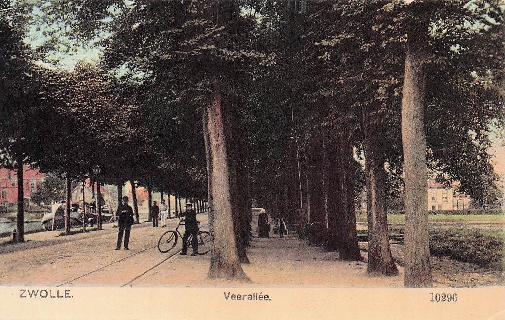 Zwolle - Veerallee (Nauta 10296), Ophalen of Verzenden, Voor 1920, Gelopen, Overijssel