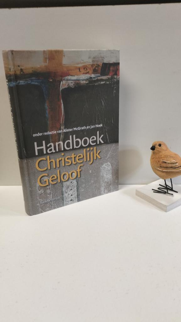 McGrath, Alister e.a.; Handboek Christelijk Geloof, Ophalen of Verzenden, Gelezen, Christendom | Protestants