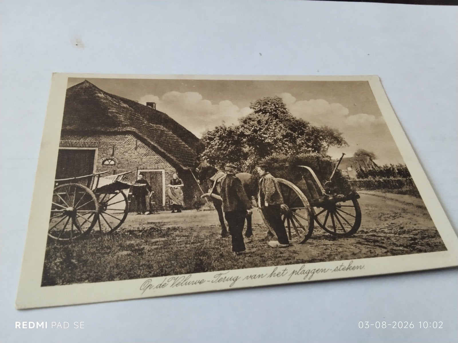 Oude ansichtkaart:  de Veluwe - Terug van het plaggen steken, Verzamelen, Ansichtkaarten | Nederland, Ophalen of Verzenden, Voor 1920