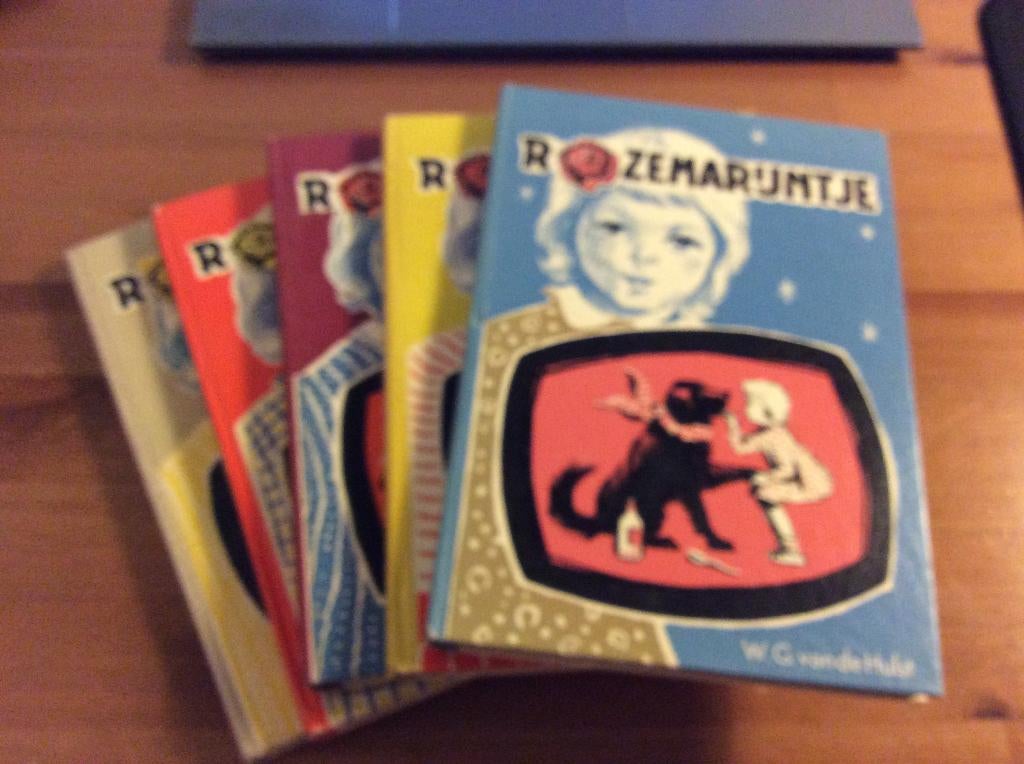 Set boeken, Rozemarijntje serie. W.G. van der Hulst, Ophalen of Verzenden, Gelezen, W.G. van de Hulst, Fictie algemeen