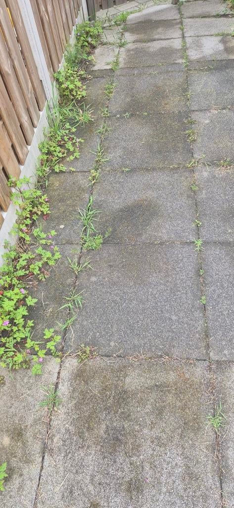 Gratis tuintegels, Tuin en Terras, Ophalen of Verzenden, Gebruikt, Beton, Terrastegels