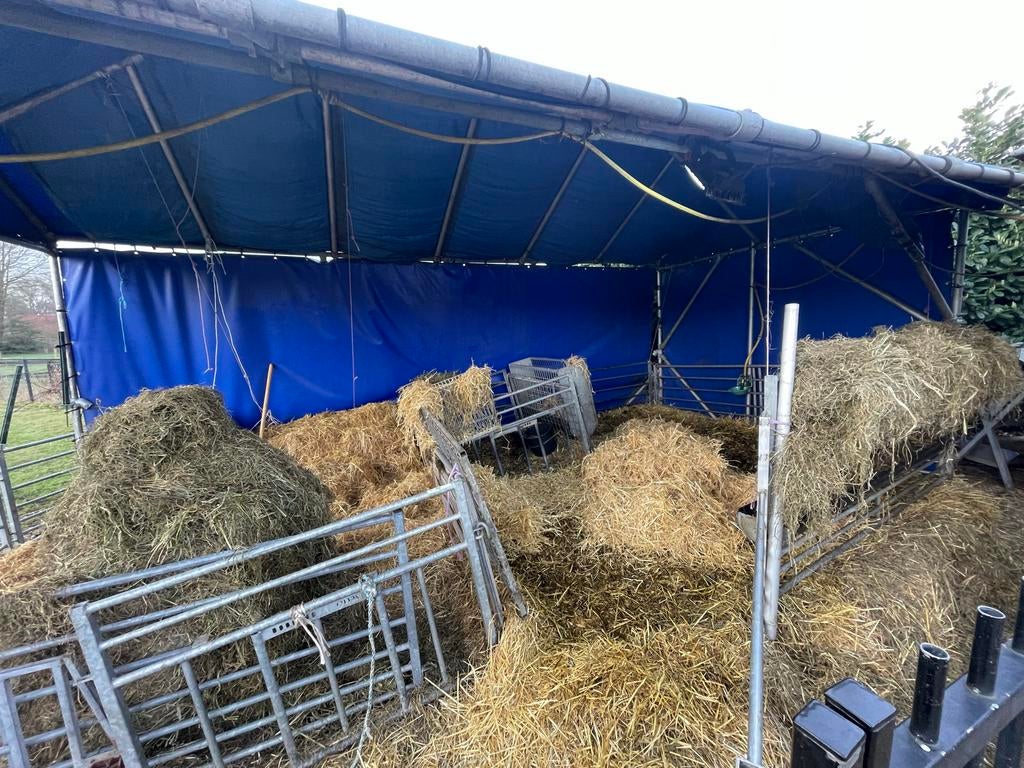 Flexibele supersterke demontabele schapen/geitenstal., Meerdere dieren, Schaap