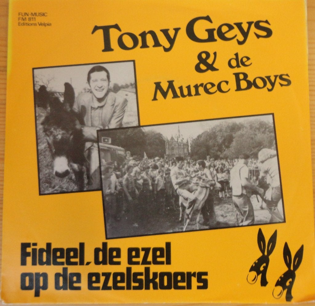 Toney Geys > Fideel de ezel, Ophalen of Verzenden, Gebruikt, Nederlandstalig