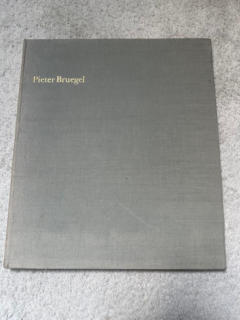Pieter Bruegel Kunstboek - Zo goed als nieuw, Boeken, Kunst en Cultuur | Beeldend, Ophalen of Verzenden, Zo goed als nieuw, Schilder- en Tekenkunst