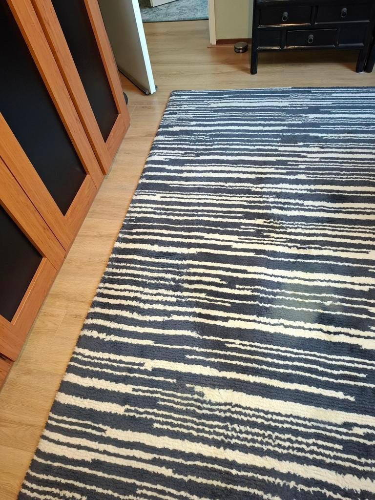 Wollen vloerkleed 100%  wol van trendmills, Huis en Inrichting, Ophalen, Gebruikt, 200 cm of meer, 200 cm of meer