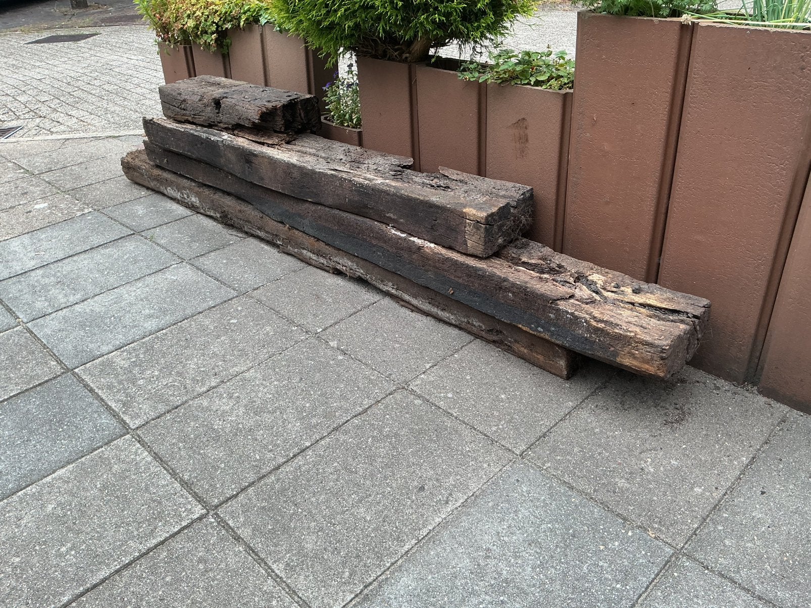Oude bielzen gratis, Gebruikt, Biels, 200 cm of meer, Ophalen of Verzenden