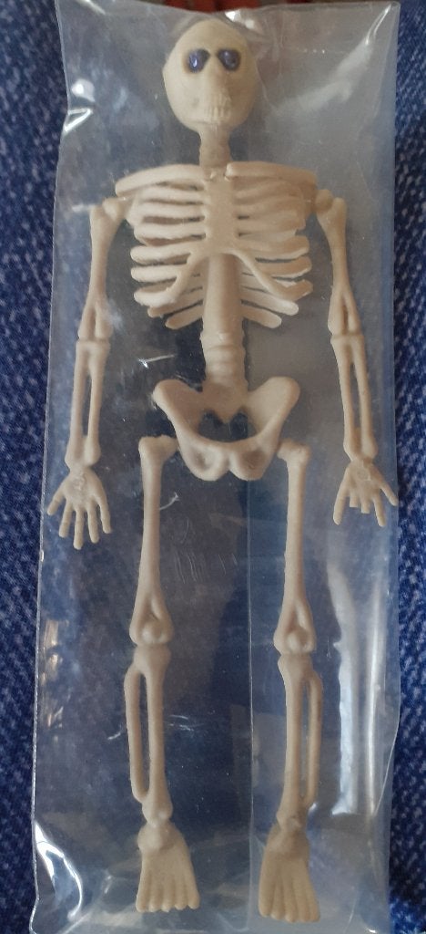 mooi nieuw SKELET 1:12 , voor arts ? of Heksenhuis enz, Verzamelen, Poppenhuizen en Toebehoren, Ophalen of Verzenden, Nieuw, Poppenhuis