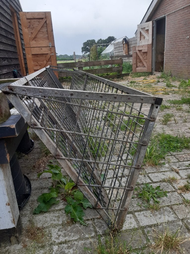 Hooiruif, ruif, Dieren en Toebehoren, Meerdere dieren, Schaap