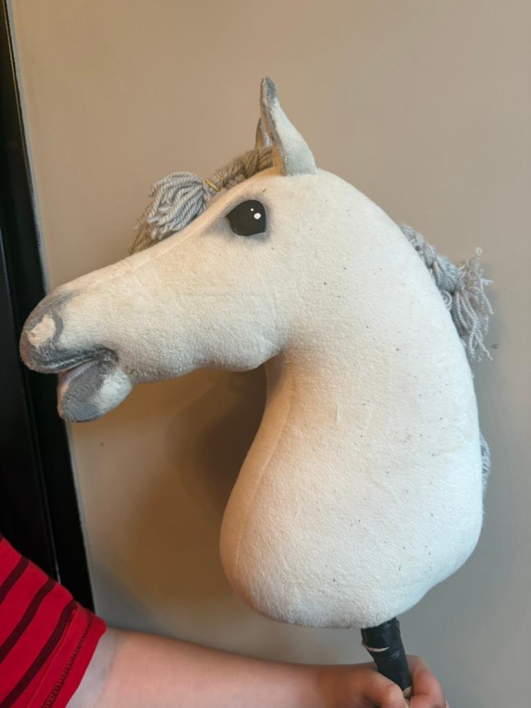 Hobby horse, Ophalen of Verzenden, Jongen of Meisje