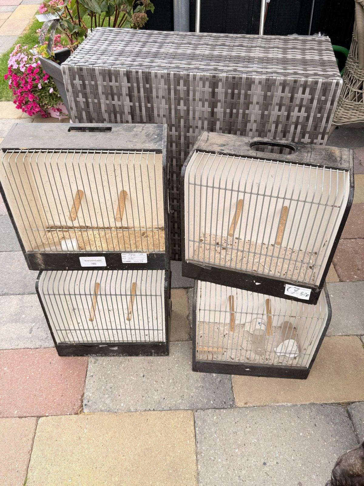 Vogel hokjes voor shows / beurs, Ophalen, Nieuw, Hout, Vogelkooi