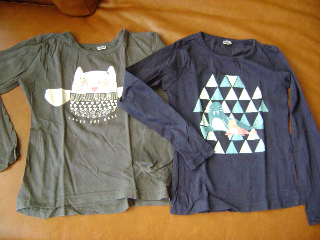 2 longsleeves met print maat 110/116, Kinderen en Baby's, Kinderkleding | Maat 110, Ophalen of Verzenden, Gebruikt, Meisje, Shirt of Longsleeve