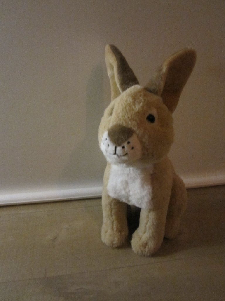 Velours haas/paashaas knuffel 50 cm groot., Overige typen, Ophalen of Verzenden, Zo goed als nieuw, Middelgroot (20 tot 80 cm)
