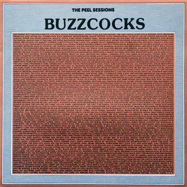 the buzzcocks / the peel sessions - punk - ZELDZAAM, Verzenden, Gebruikt, 12 inch, Alternative