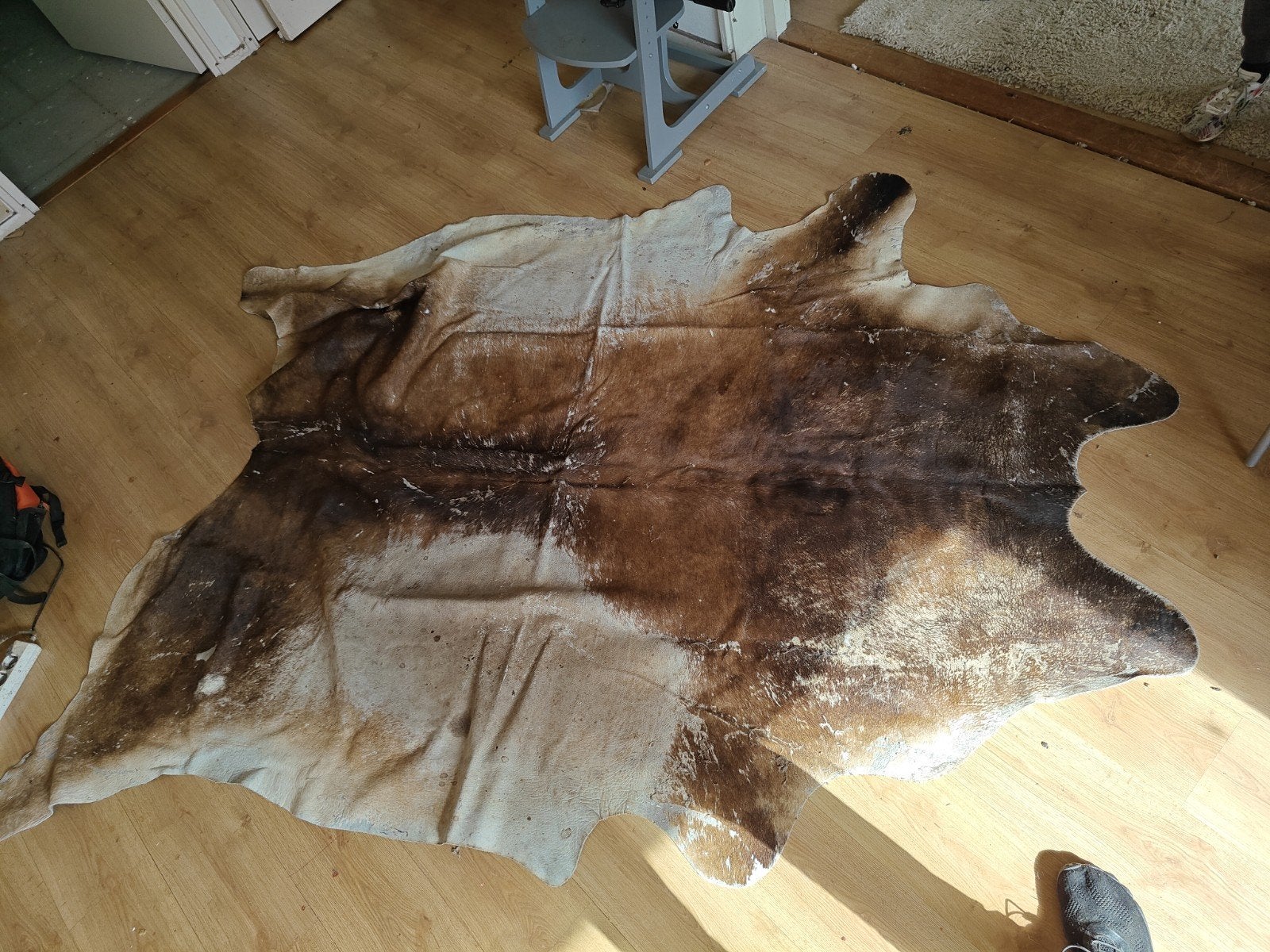 Prachtige natuurlijke koeienhuid - Bruin/Wit, Gebruikt, 100 tot 150 cm, Natuurlijk, Rustiek, Landelijk, Ophalen of Verzenden