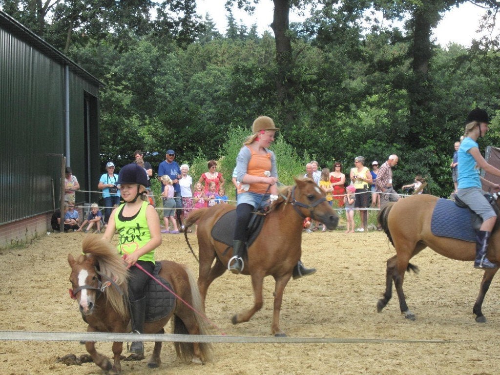 2 lieve ponys, Dieren en Toebehoren, Pony's, Merrie, C pony (1.27m tot 1.37m), Recreatiepony, 11 jaar of ouder, Gechipt