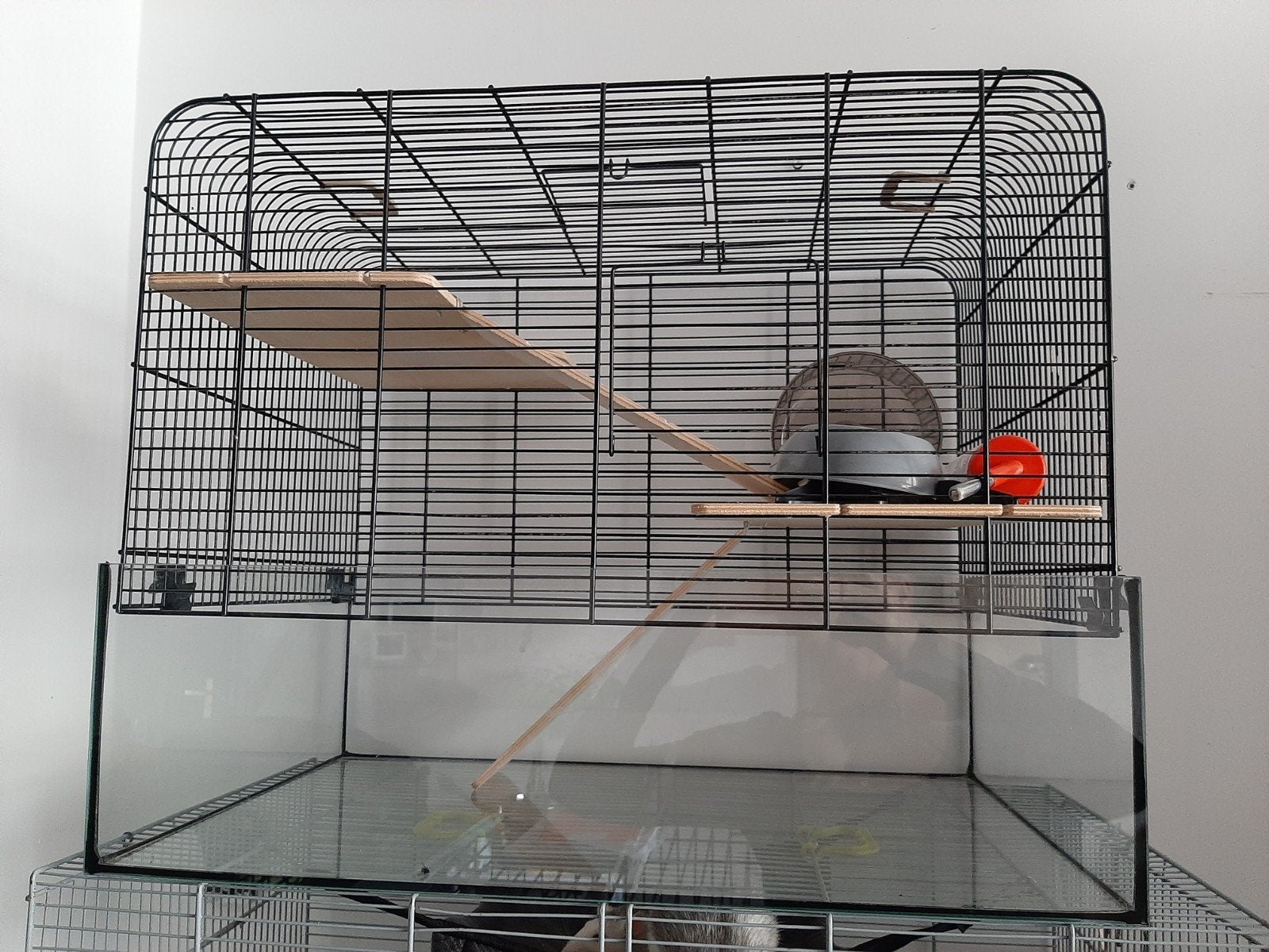 Knaagdierenkooi, Dieren en Toebehoren, Ophalen of Verzenden, Zo goed als nieuw, Kooi, Minder dan 60 cm