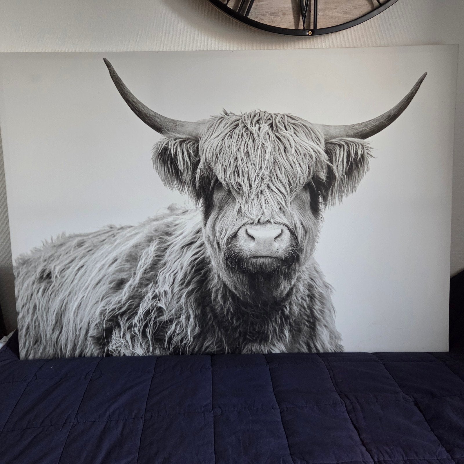 Grote Schotse Hooglander Canvas, Huis en Inrichting, Ophalen, Zo goed als nieuw, Schilderij, 100 tot 125 cm