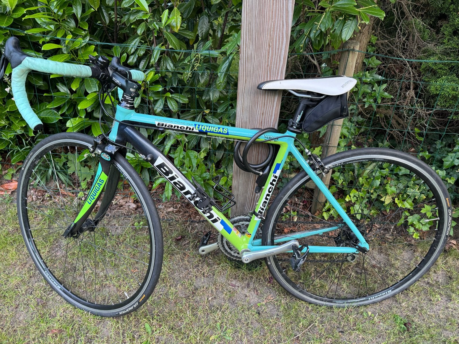 Bianchi Liquigas Racefiets, Gebruikt, 26 inch, Velgrem, Aluminium