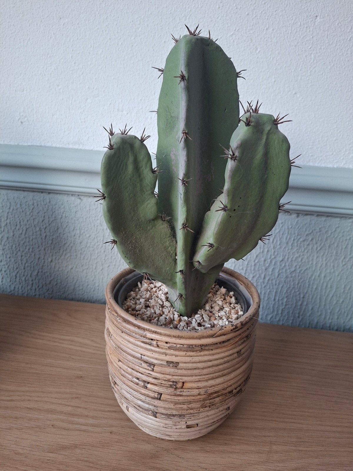 Kunst cactus 23 cm hoog - onderhoudsvrij en decoratief, Huis en Inrichting, Woonaccessoires | Kunstplanten en Kunstbloemen, Binnen