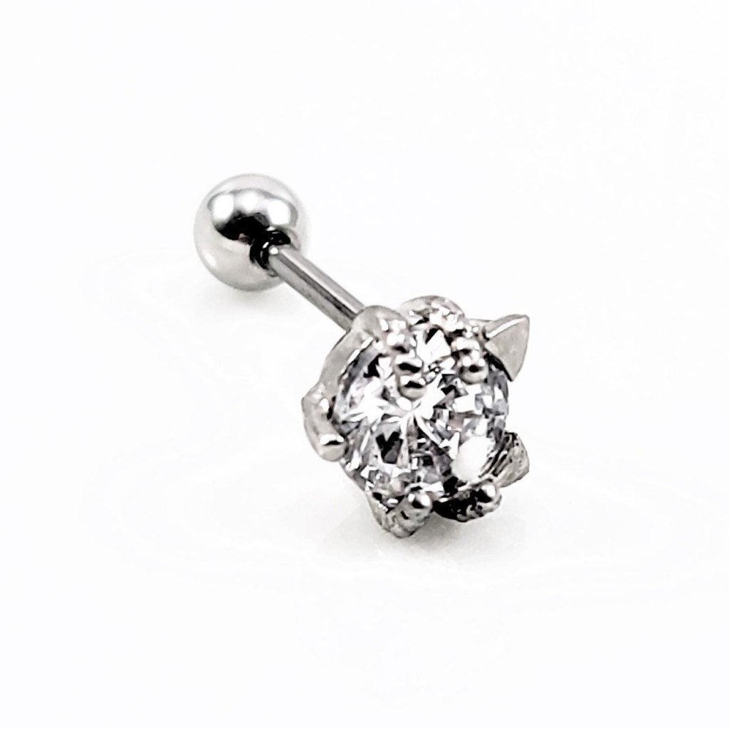 RVS klauwen-Oorbel + Zirkonia Tragus Kraakbeen Helixpiercing, Staal, Birgitta-Gracht 33, 6465 EL Kerkrade, Nederland, Verzenden