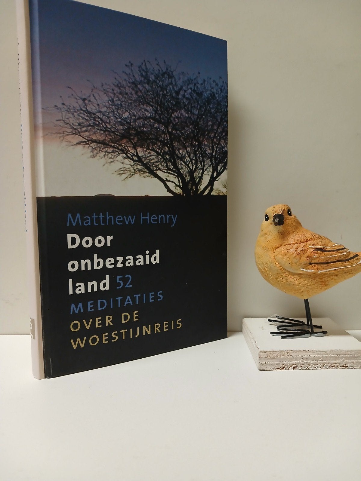 Henry, Matthew; Door onbezaaid land, Boeken, Ophalen of Verzenden, Gelezen, Christendom | Protestants
