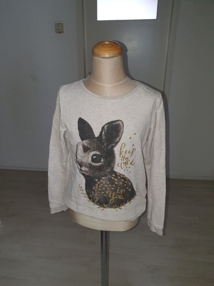 Leuke longsleeve met konijntje maat 134, Kinderen en Baby's, Kinderkleding | Maat 134, Gebruikt, Meisje, Ophalen of Verzenden