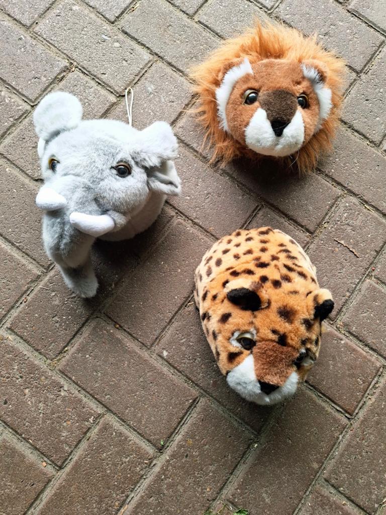 3 dierenkoppen om op te hangen aan de muur., Ophalen of Verzenden, Gebruikt, Wanddecoratie