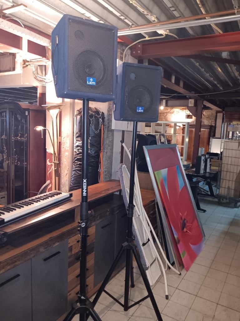 LEM PFM 8MA speakerset met statieven sb kringloop, Audio, Tv en Foto, Luidsprekers, Gebruikt, Minder dan 60 watt, Front, Rear of Stereo speakers