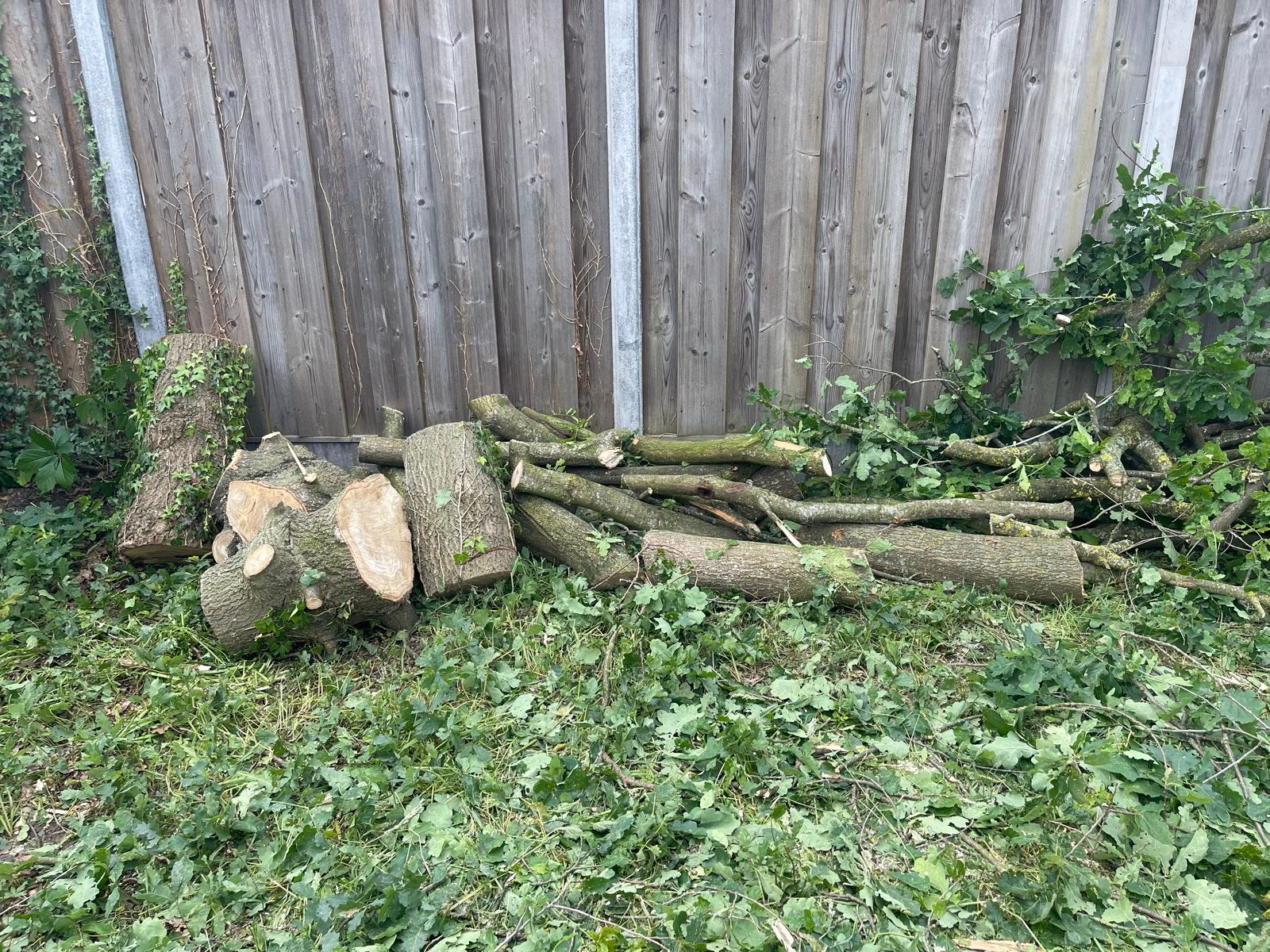 Gratis afgezaagde boomstammen en takken ophalen, Tuin en Terras, 3 tot 6 m³, Ophalen, Overige houtsoorten, Stammen