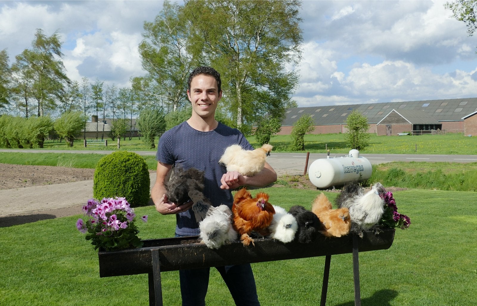 ️🐣❣️Super Mooie Zijdehoender Krielen️🐣❣️, Dieren en Toebehoren, Vrouwelijk, Kip