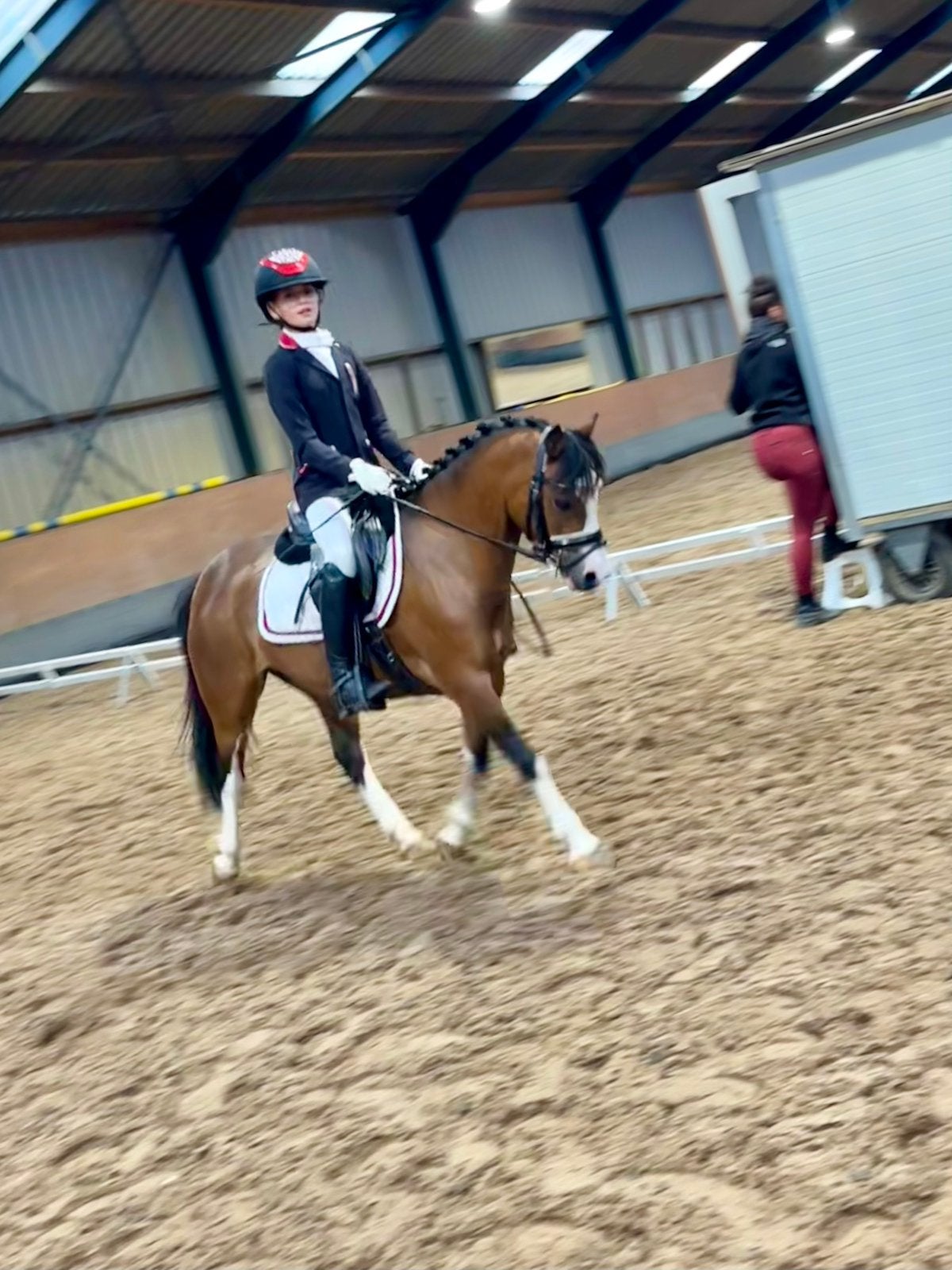 Super knappe sportpony, Dieren en Toebehoren, Pony's, Merrie, Met stamboom, Springpony, L