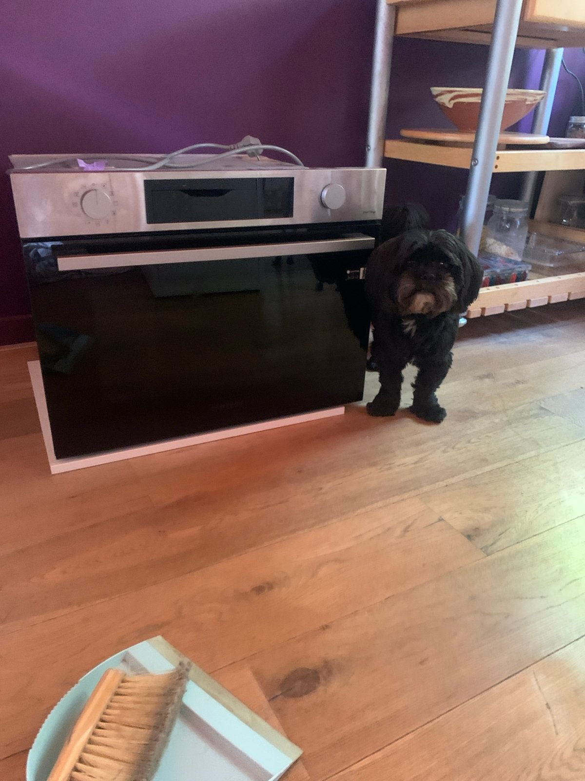 Samsung Combi-oven 2023 - Zo goed als nieuw, Witgoed en Apparatuur, Ovens, Ophalen, 45 tot 50 cm, Hete lucht, Inbouw