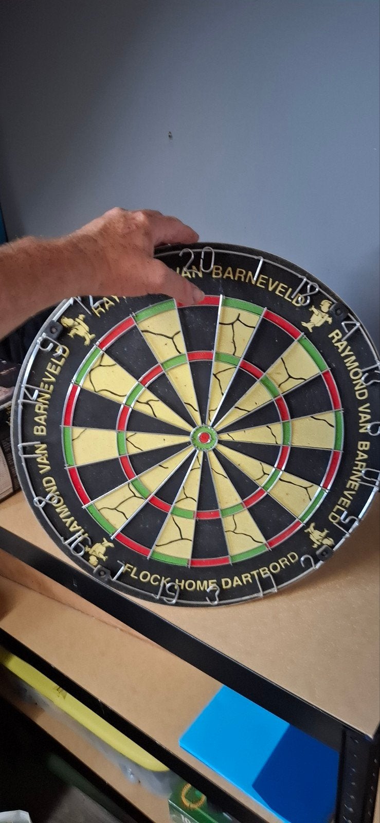 Raymond van Barneveld Flock Home Dartbord, Ophalen, Gebruikt, Dartbord
