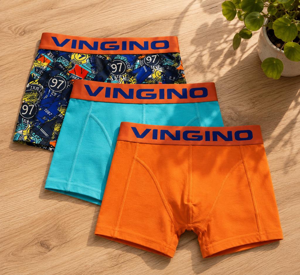 [NIEUW] 3 onderbroeken vingino boxershorts maat 170 / 176, Nacht- of Onderkleding, Nieuw, Ophalen of Verzenden, Vingino
