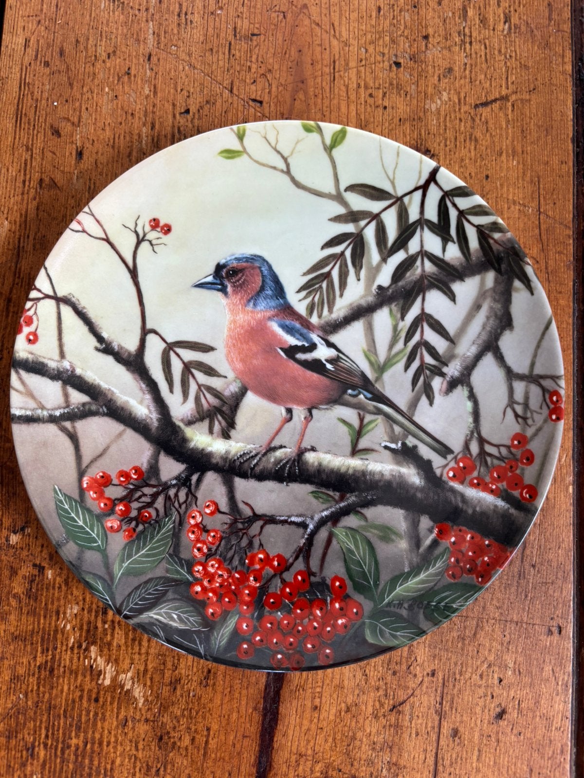Bordje vogels vink man natuur Wildzang, Ophalen of Verzenden