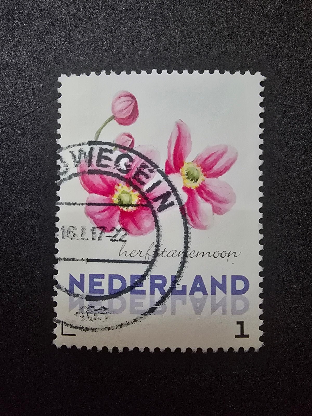 Persoonlijke Postzegel Nederland - Herfstanemoon, Ophalen of Verzenden, Na 1940, Gestempeld