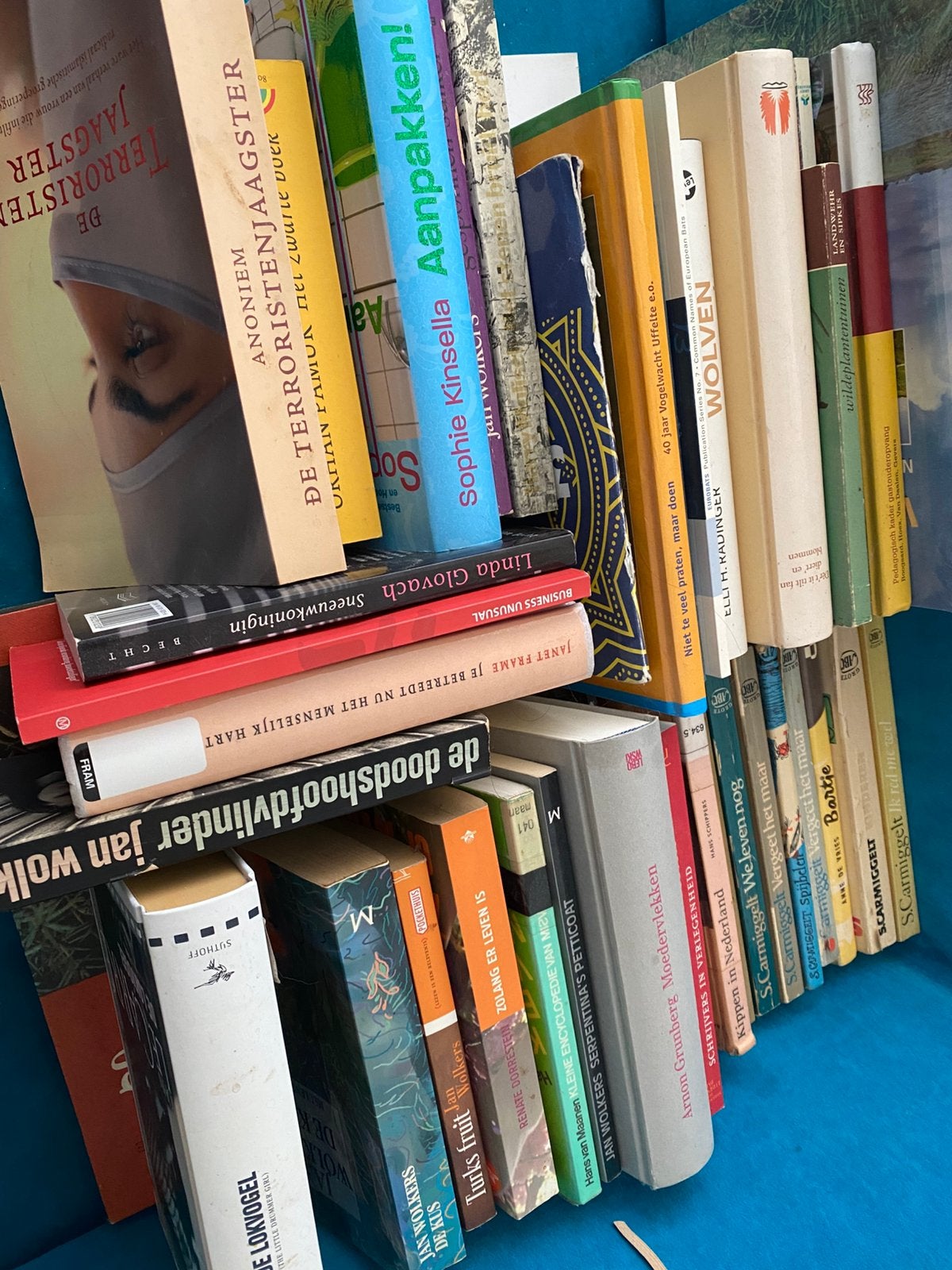 Diverse boeken in 1 koop, Ophalen, Gelezen, Verschillende onderwerpen