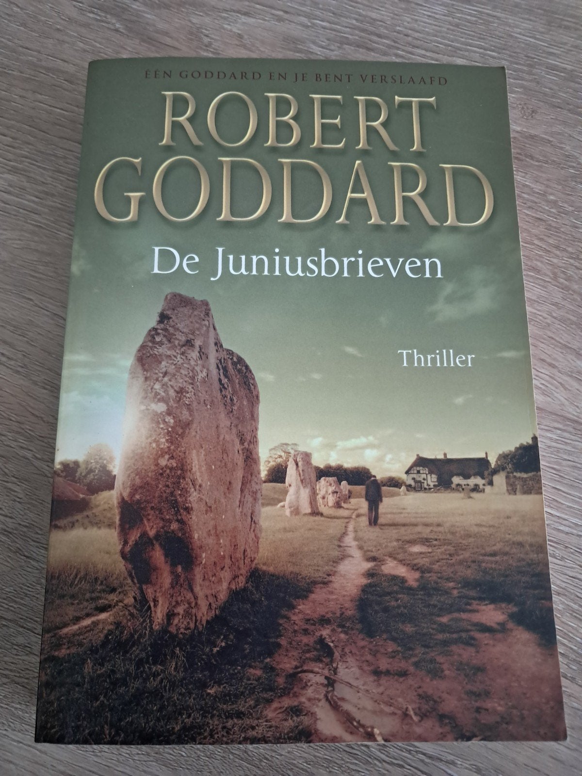 X7 Robert Goddard - De Juniusbrieven (Thriller), Ophalen of Verzenden, Zo goed als nieuw, Robert Goddard, Wereld overig
