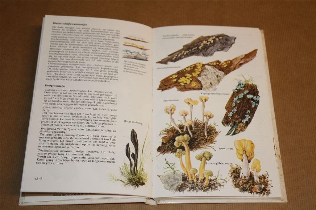 Paddestoelen in de natuur. Paddestoelen, zwammen..., Ophalen of Verzenden, Gelezen, Natuur algemeen