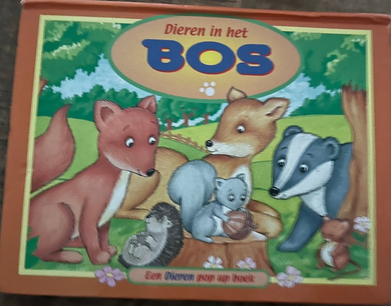 Dieren in het Bos: Een Dieren Pop-Up Boek, Ophalen of Verzenden, Zo goed als nieuw