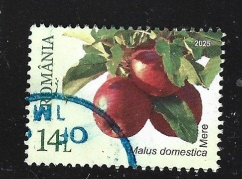 Ro 5 - 2025 - Roemenie/appels/14 l, Verzenden, Overige landen, Gestempeld