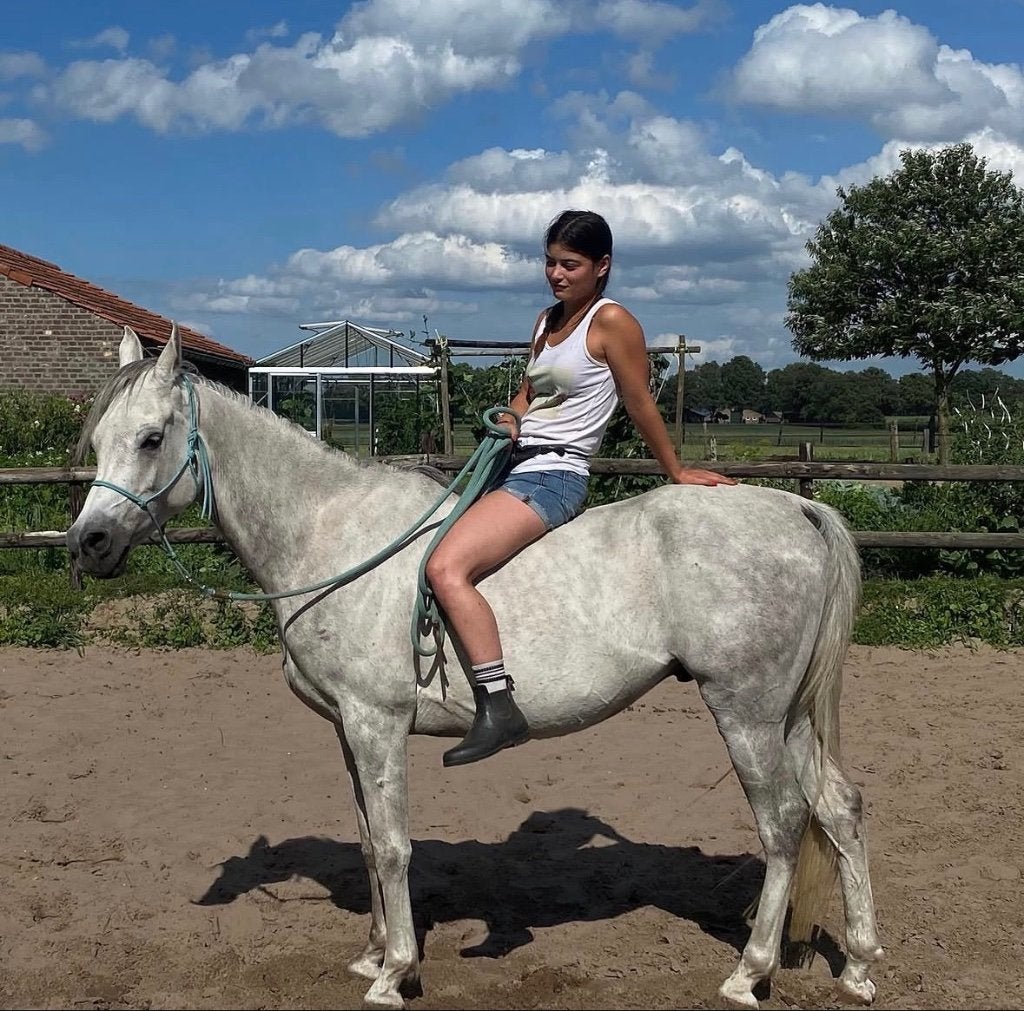 Paarden training/zadelmak maken en western paardrijlessen, Diensten en Vakmensen, Dieren | Paarden | Verzorging, Oppas en Les