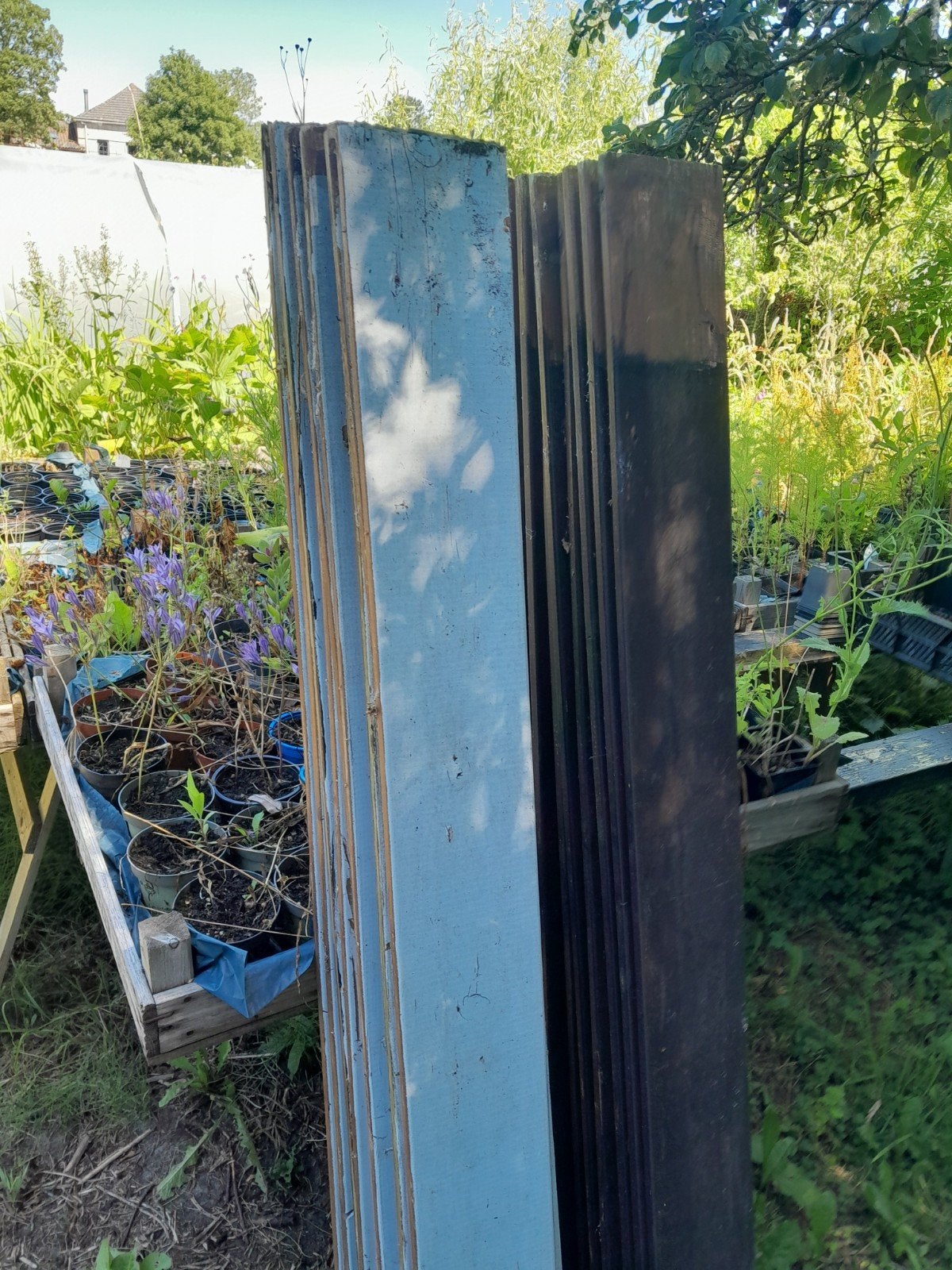 Schuttingplanken tuinplank Grenen Geïmpregneerd 1,6x14x180cm, Tuin en Terras, Ophalen of Verzenden, Gebruikt, 180 tot 250 cm, Planken