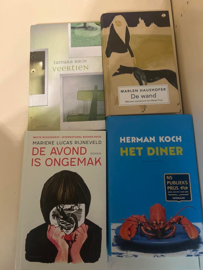 Boekenpakket: Tamara Bach, Marlen Haushofer, Marieke Lucas R, Ophalen of Verzenden, Gelezen, Nederland