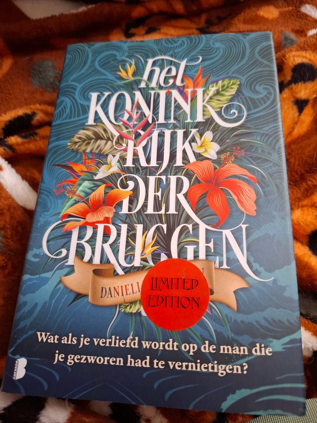 Bruggenkoninkrijk limited edition, Ophalen of Verzenden