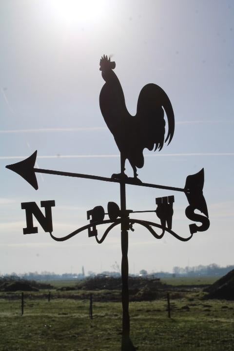 tuinprikker windwijzer haan roest, Ophalen, Nieuw, Nvt, Nvt