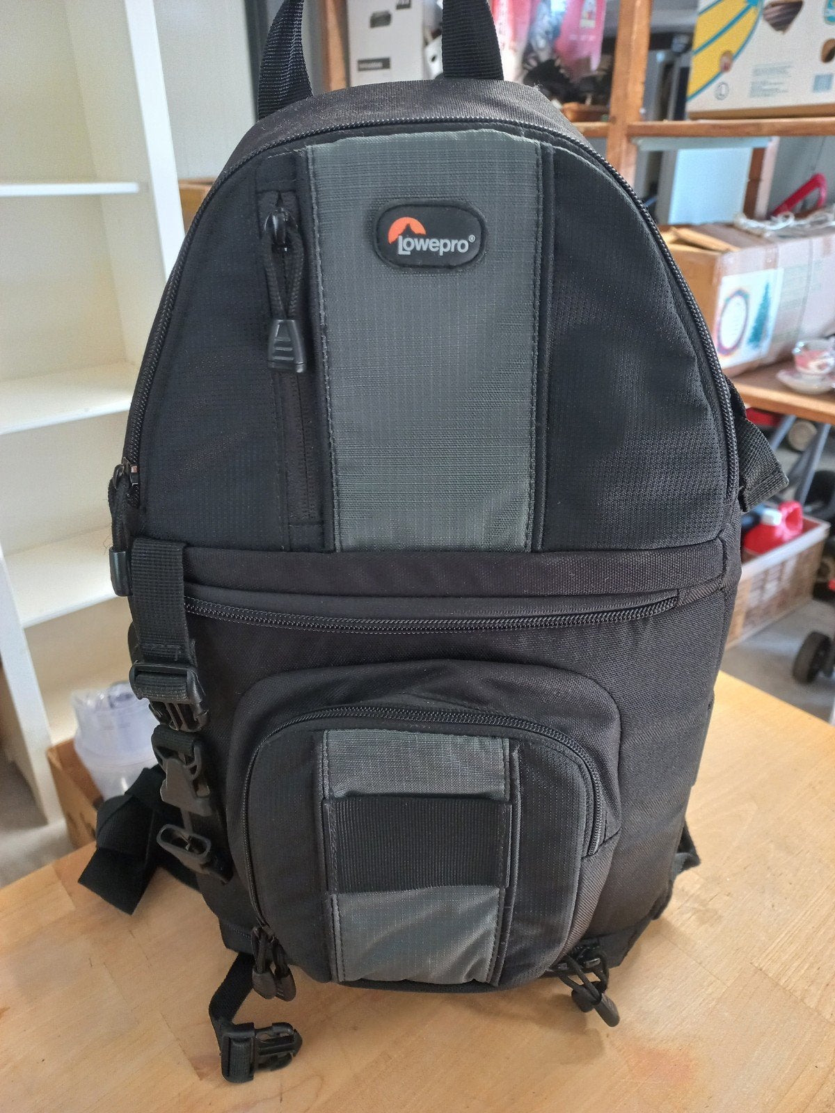 Lowepro Cameratas - Ideaal voor DSLR/Mirrorless, Lowepro, Rugtas, Gevoerd, Ophalen of Verzenden