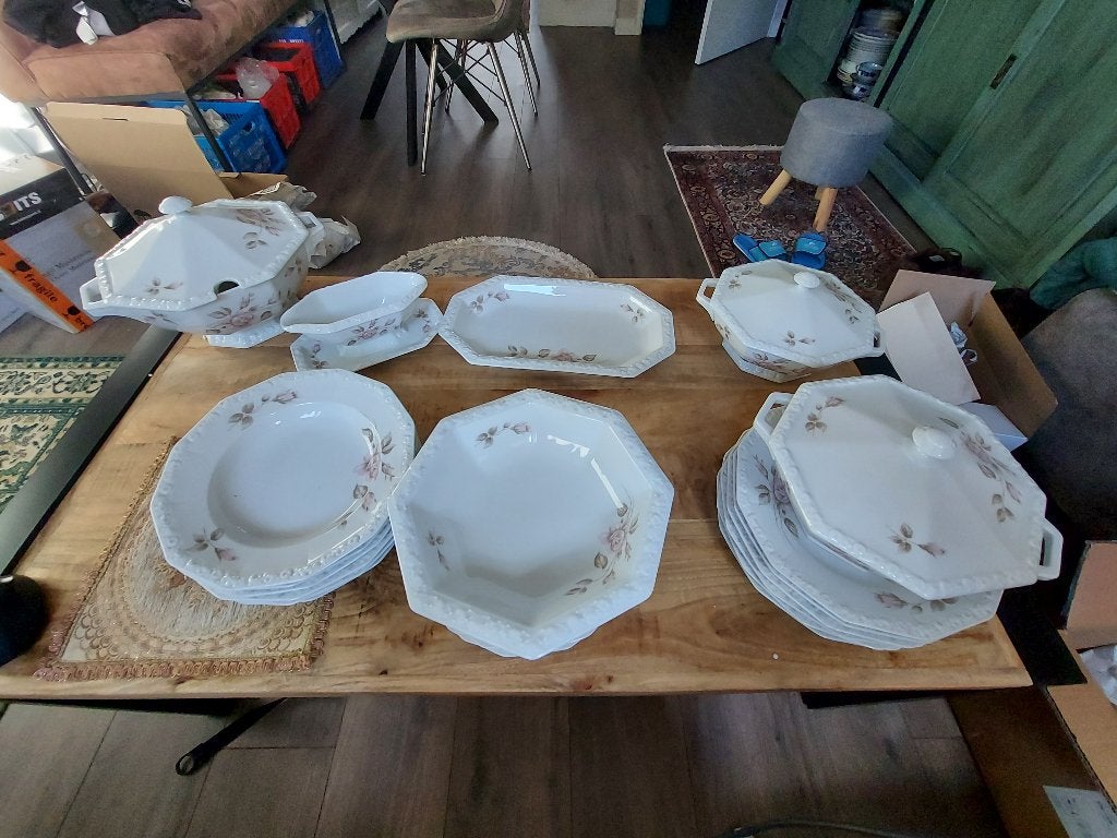 Rosenthal Maria Moss Rose Dinner Set 27 pcs for 6 people, Ophalen
