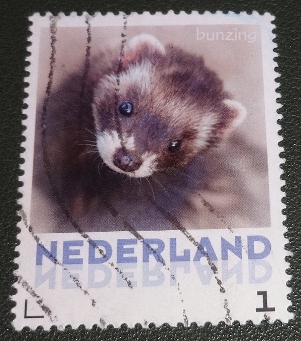 Zoogdieren - 3013-Aa-06 2013 Persoonlijk Bunzing - PNe01-11, Verzenden, Gestempeld
