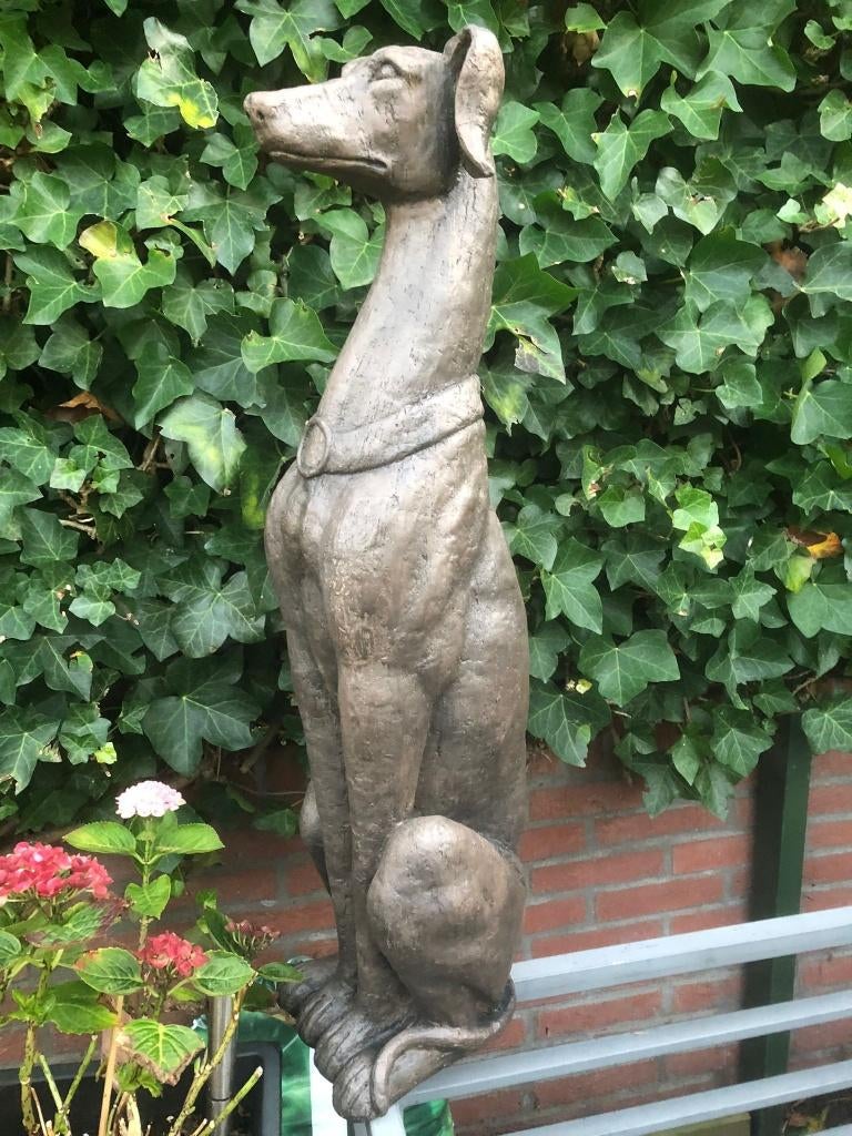 groot zittende windhond hazewindhond whippet, Ophalen of Verzenden, Overige materialen
